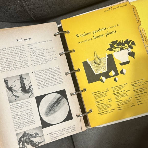 Vintage Better Homes and Gardens Garden Book 1954 - Picture 6 of 11
